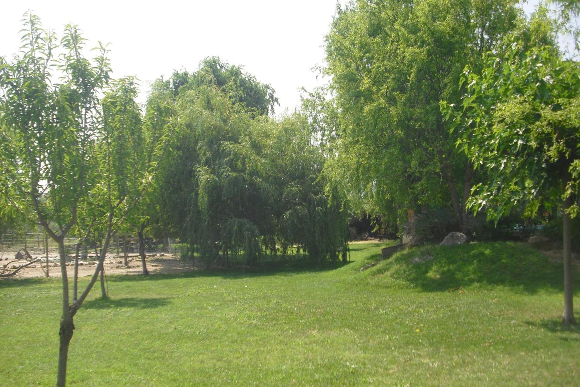 Apartament Lou Mas Li Pitchoun "La Bergerie" Gordes Zewnętrze zdjęcie